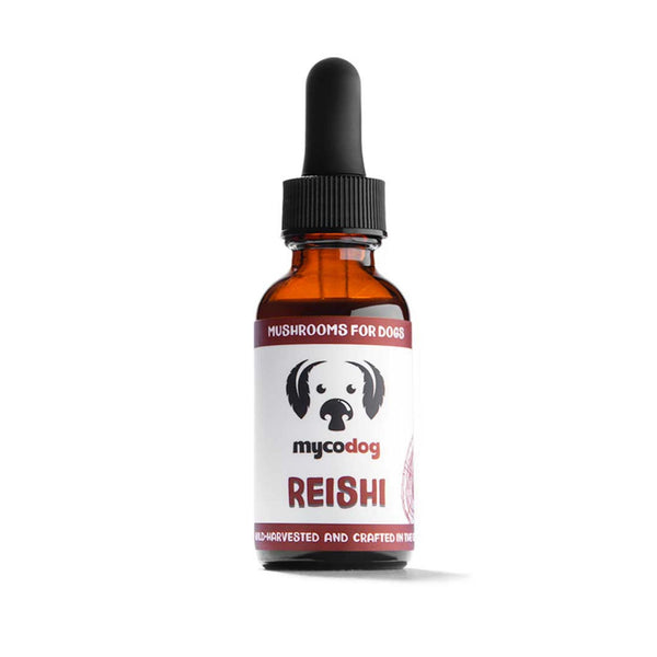 MycoDog Reishi mushroom liquid dual extract tincture for dogs, front of bottle