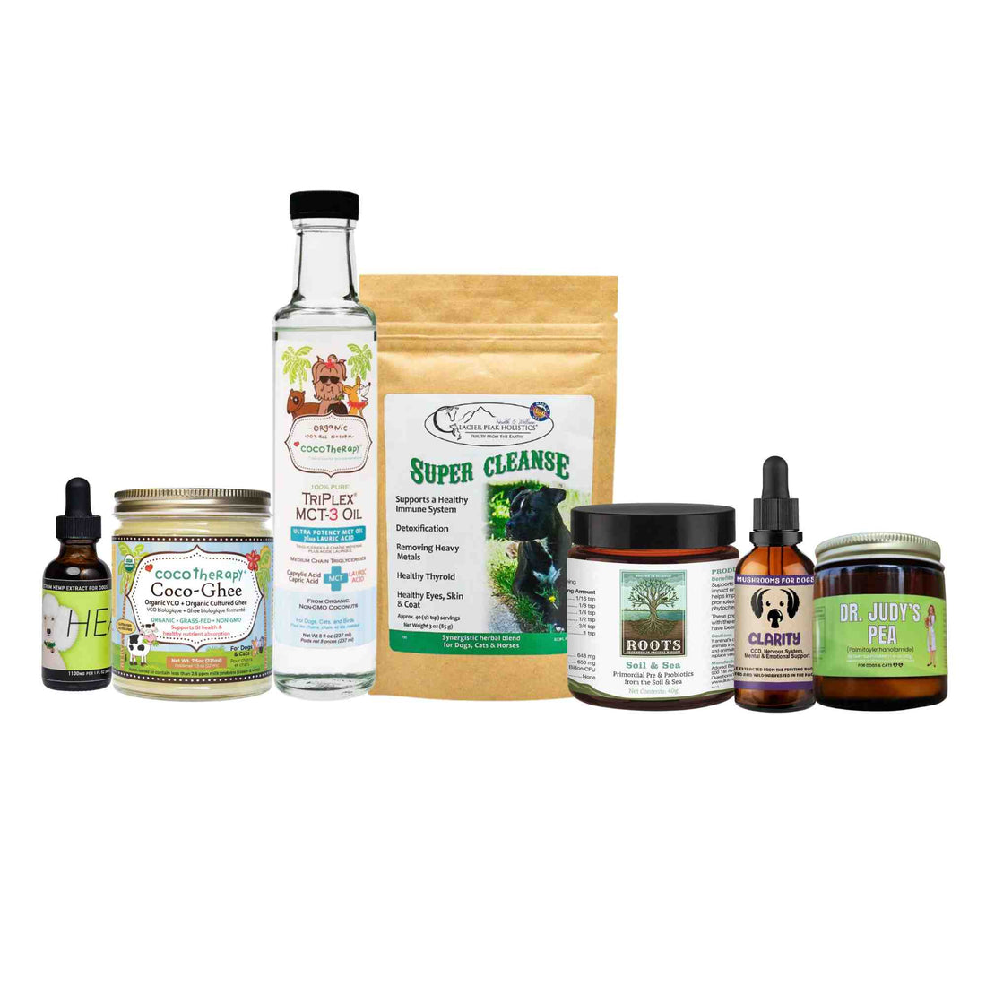 Brain & Seizure Support Bundle