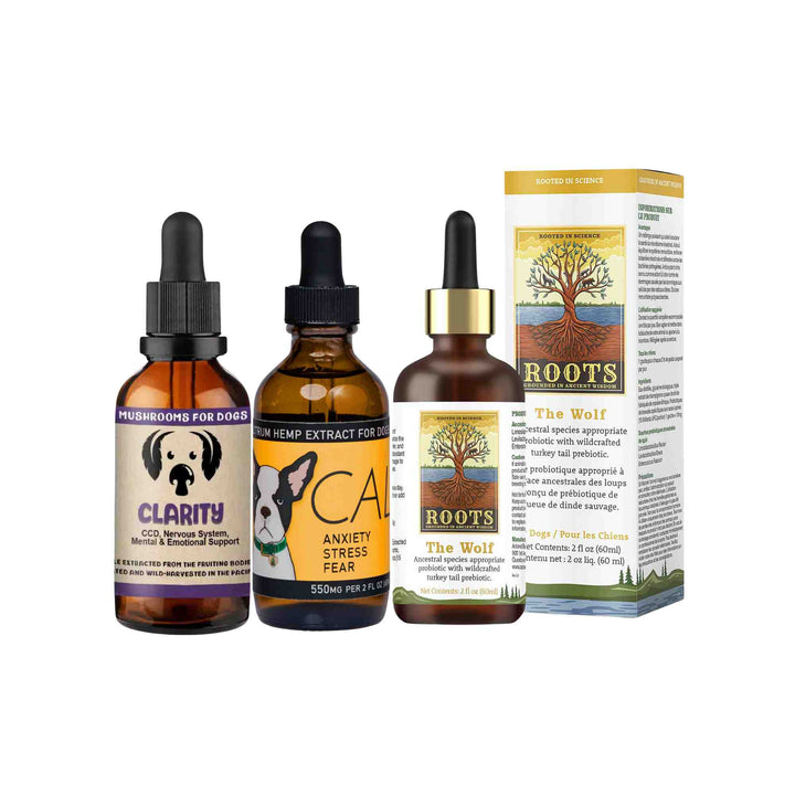 Natural stress and anxiety supplements for dogs including a full-spectrum hemp oil, a species-specific probiotic and a mushroom blend