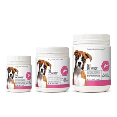 The Exchange Dynacol zeolite powder jars by Augustine Approved
