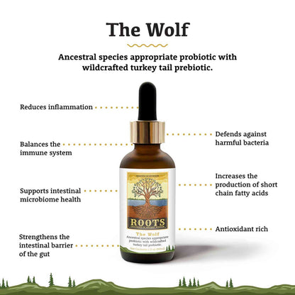 The Wolf Probiotic Health Benefits for Dogs Adored Beast Roots