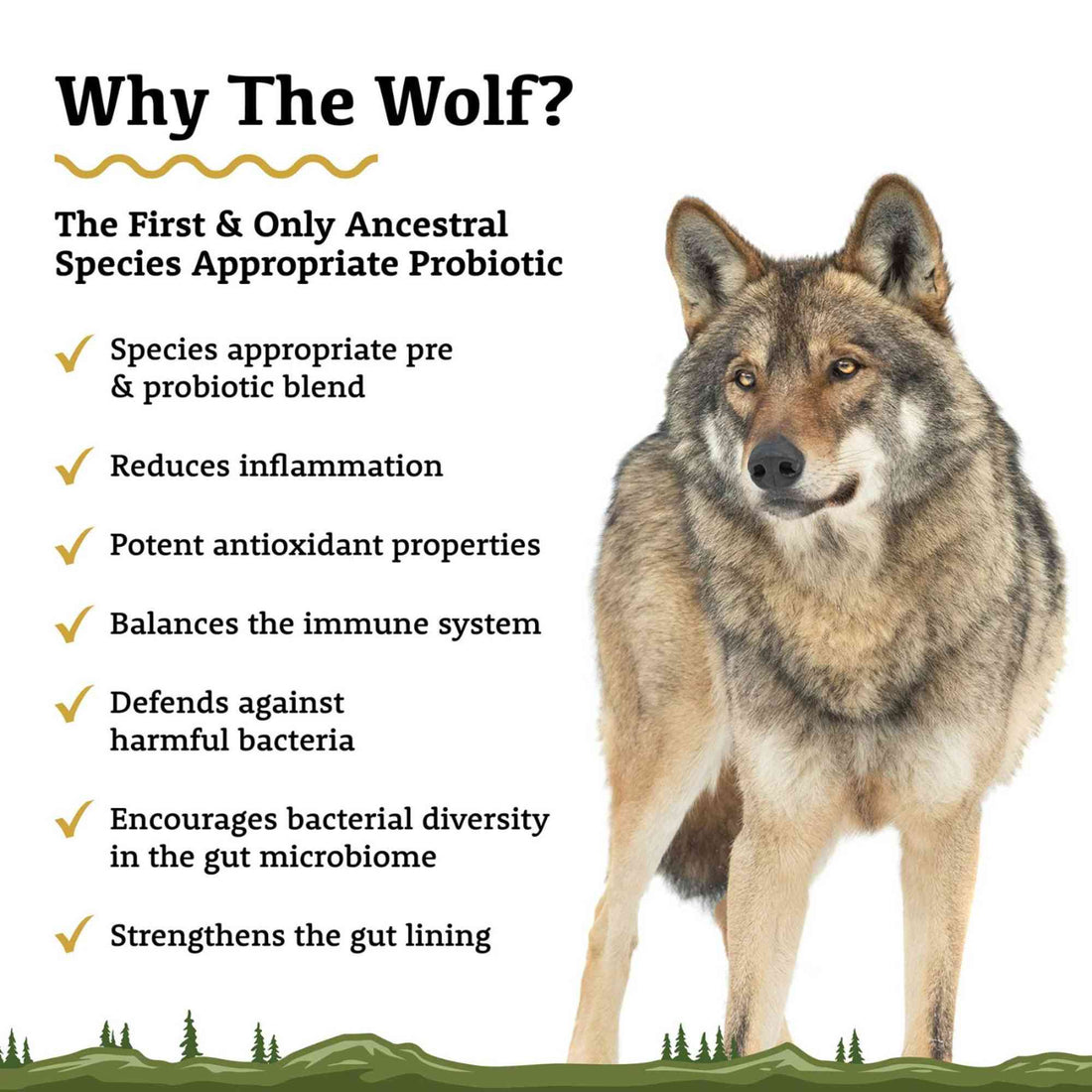 The Wolf Ancestral Species Appropriate Probiotic Adored Beast for Dogs