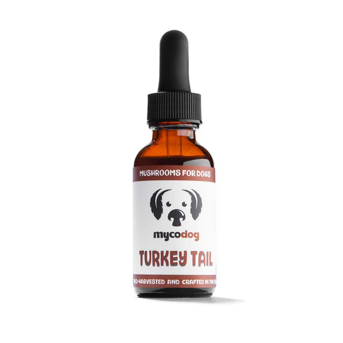 Turkey Tail Mushrooms | Liquid Dual Extract
