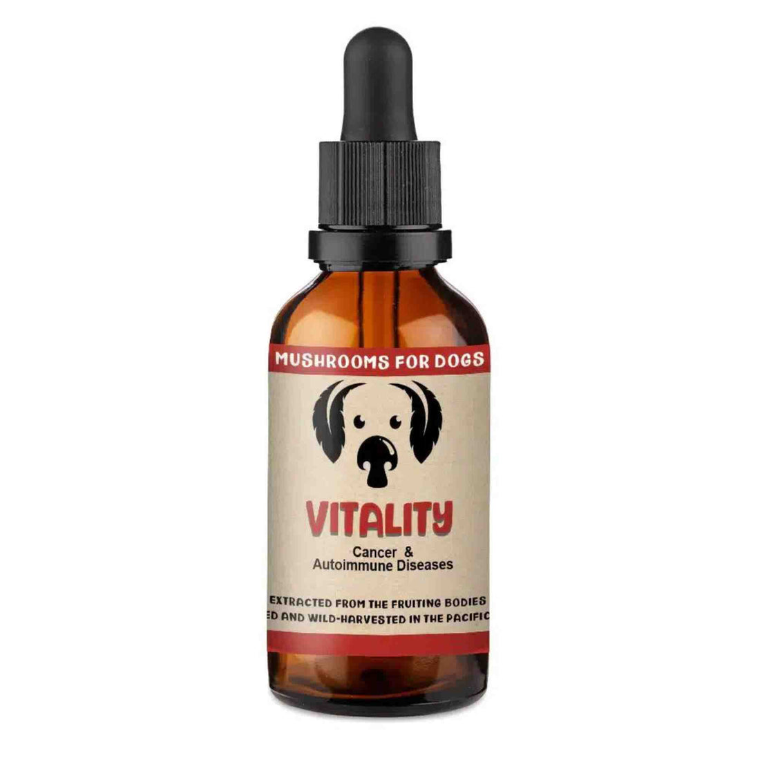 Vitality - Mushrooms for Cancer and Autoimmune Diseases - front of bottle by Mycodog