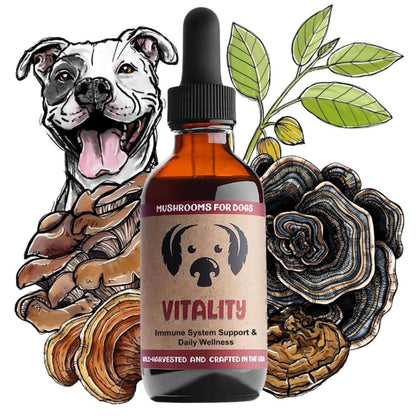 MycoDog Vitality Mushrooms for Immune system Support &amp; Daily Wellness Bottle