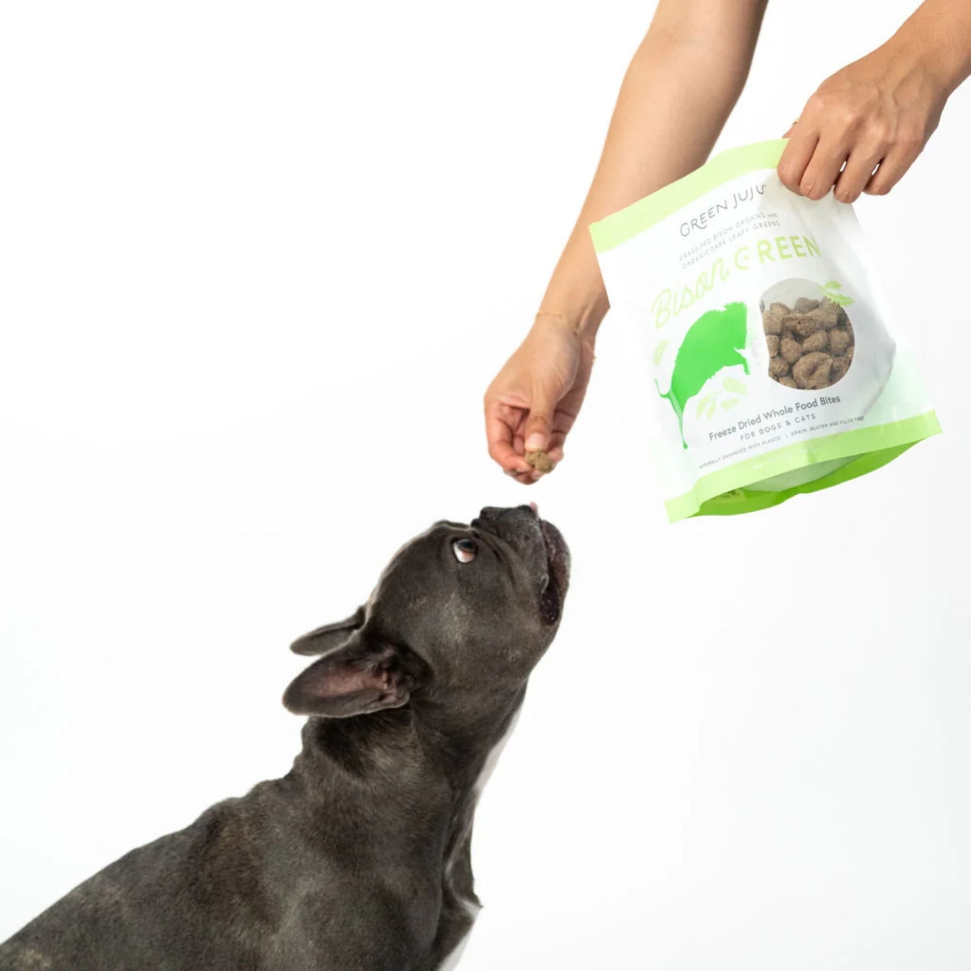 green juju bison green whole food bites being fed to a dog