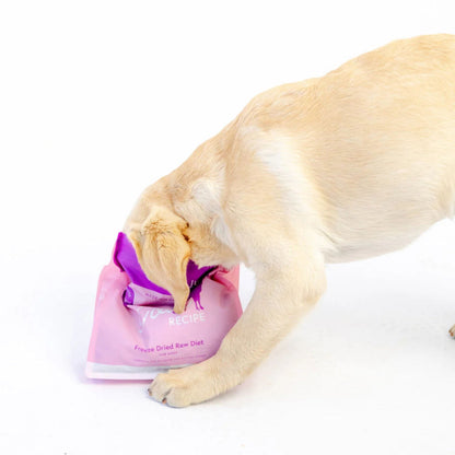 Dog with head in a bag of green juju freeze-dried raw goat food