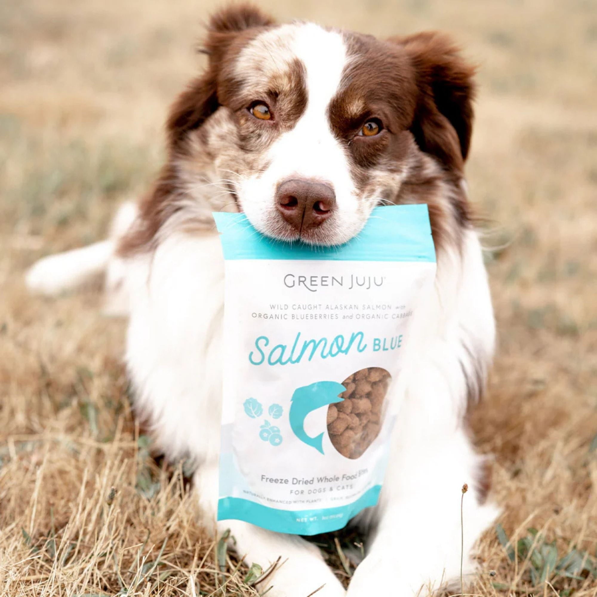 dog holding bag of green juju salmon blue whole food bites