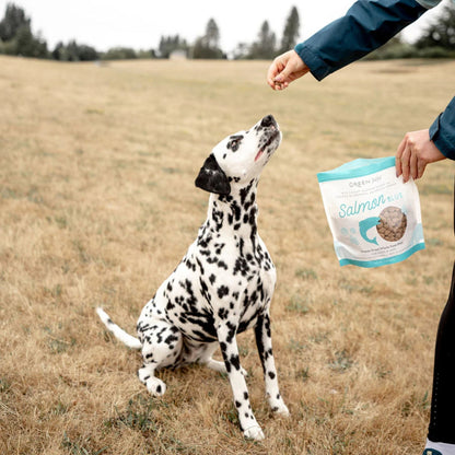 dog eating green juju salmon blue treats