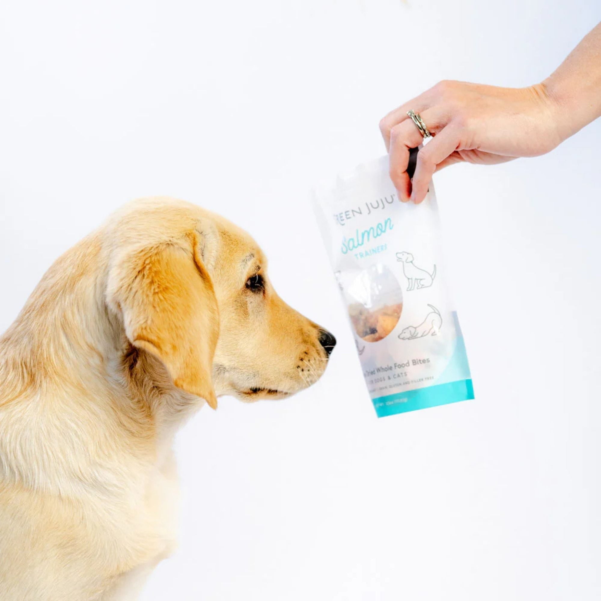 Dog and bag of green juju salmon trainer treats