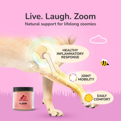 Kin+Kind. healthy hip and joint supplement with illustrations of a dog&