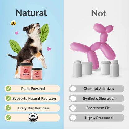 Comparison chart between Kin+Kind hip and joint supplement and &