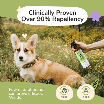 Dog being sprayed with kin+kind lemongrass repel spray in a field, with text highlighting repellency and efficacy.