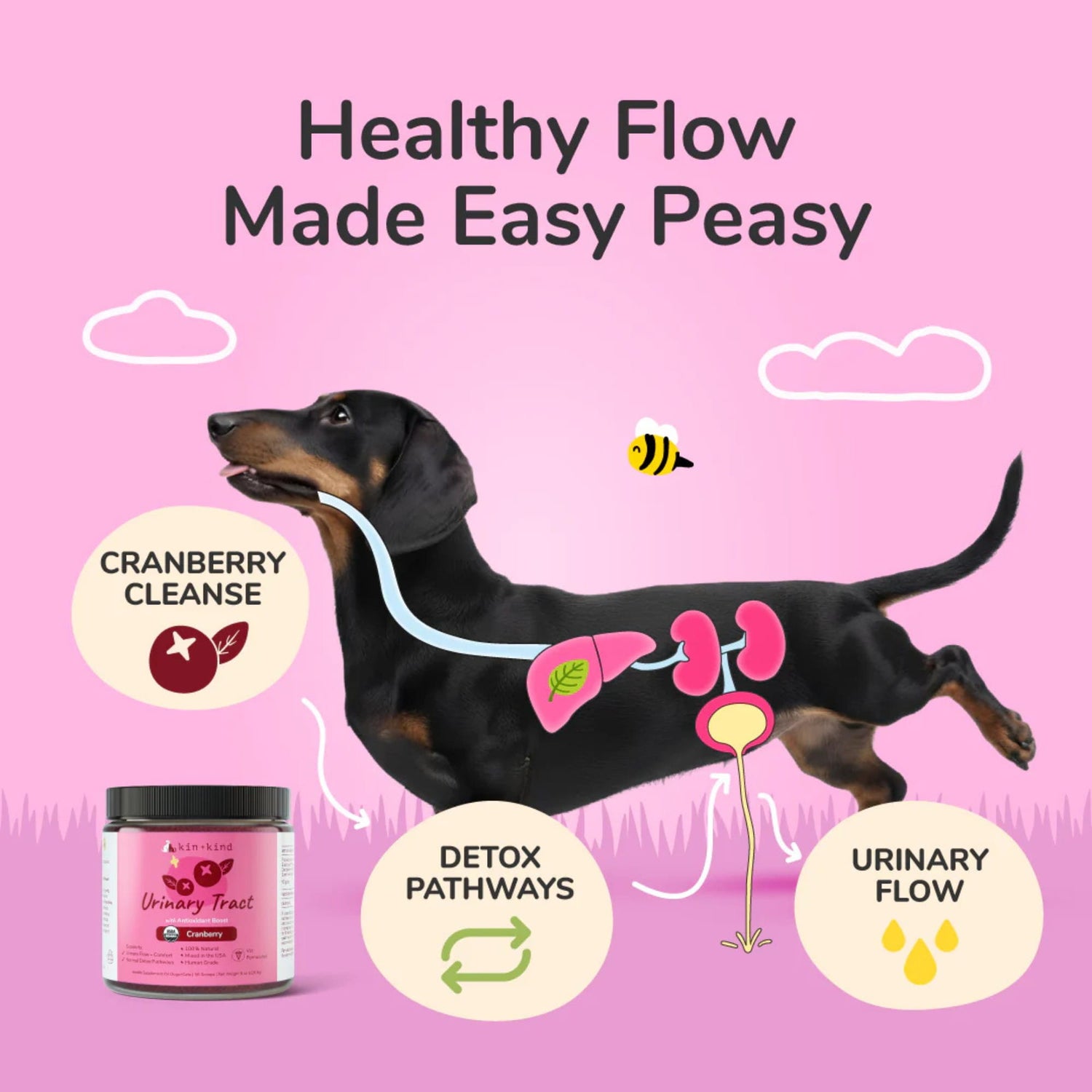 Kin+Kind Urinary Tract Antioxidant Boost for Dogs and Cats Healthy Flow and Benefits