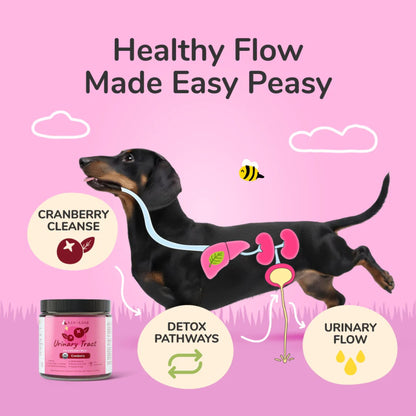 Kin+Kind Urinary Tract Antioxidant Boost for Dogs and Cats Healthy Flow and Benefits