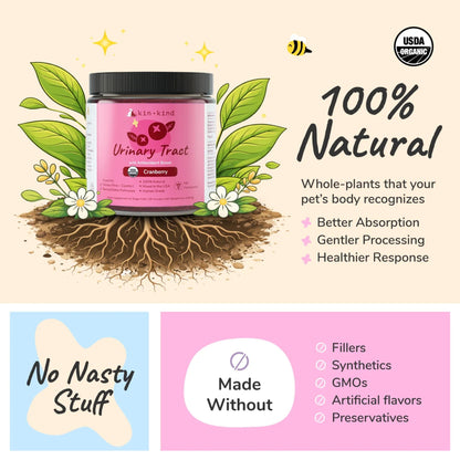 Kin+Kind Urinary Tract Antioxidant Boost Infographic USDA Organic and 100% Natural