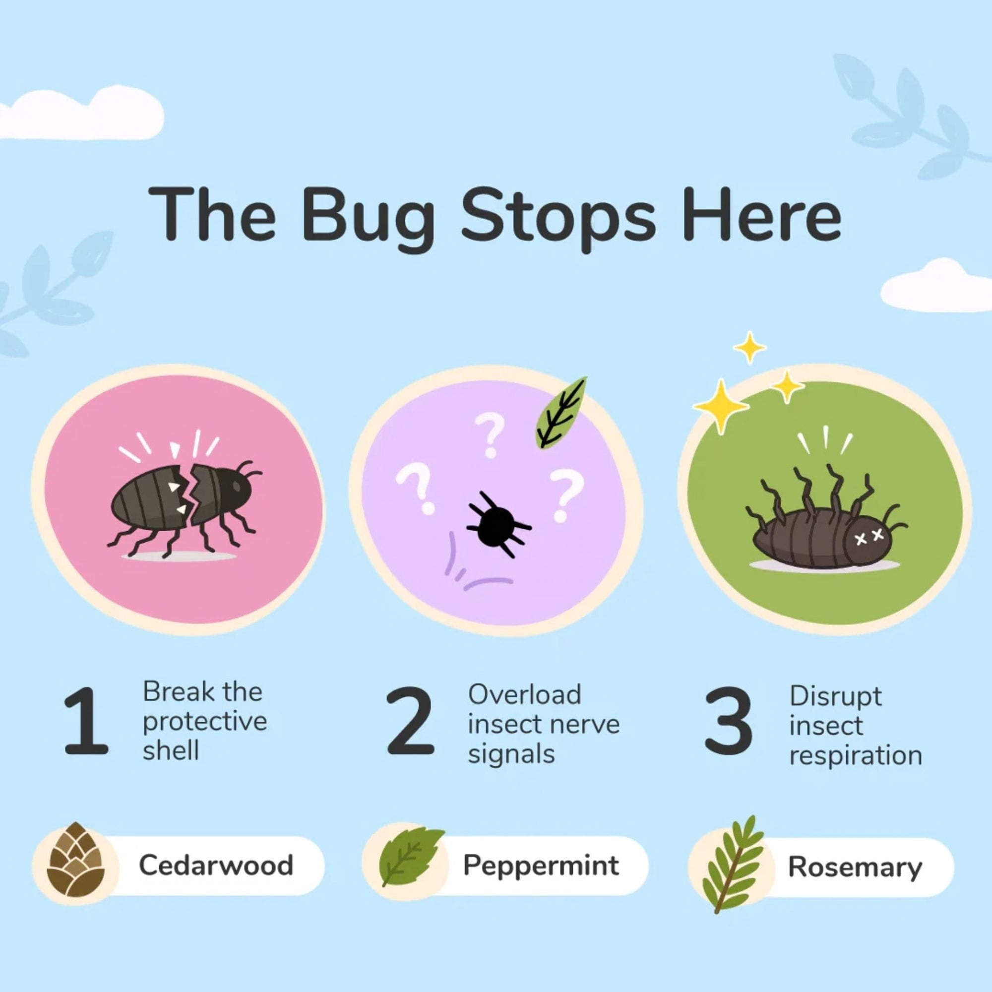 Diagram showing how kin+kind lavender shampoo stops bugs with steps and corresponding ingredients on a light blue background.