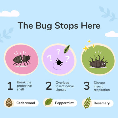 Diagram showing how kin+kind lavender shampoo stops bugs with steps and corresponding ingredients on a light blue background.